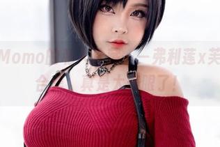 SayoMomo的私人珍藏——弗利莲x芙恩资源合集，真是太养眼了！