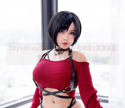SayoMomo的私人珍藏——弗利莲x芙恩资源合集，真是太养眼了！