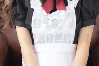 紧急企划 – 夏天的气息，小恩的作品与分享，亲近自然的瞬间